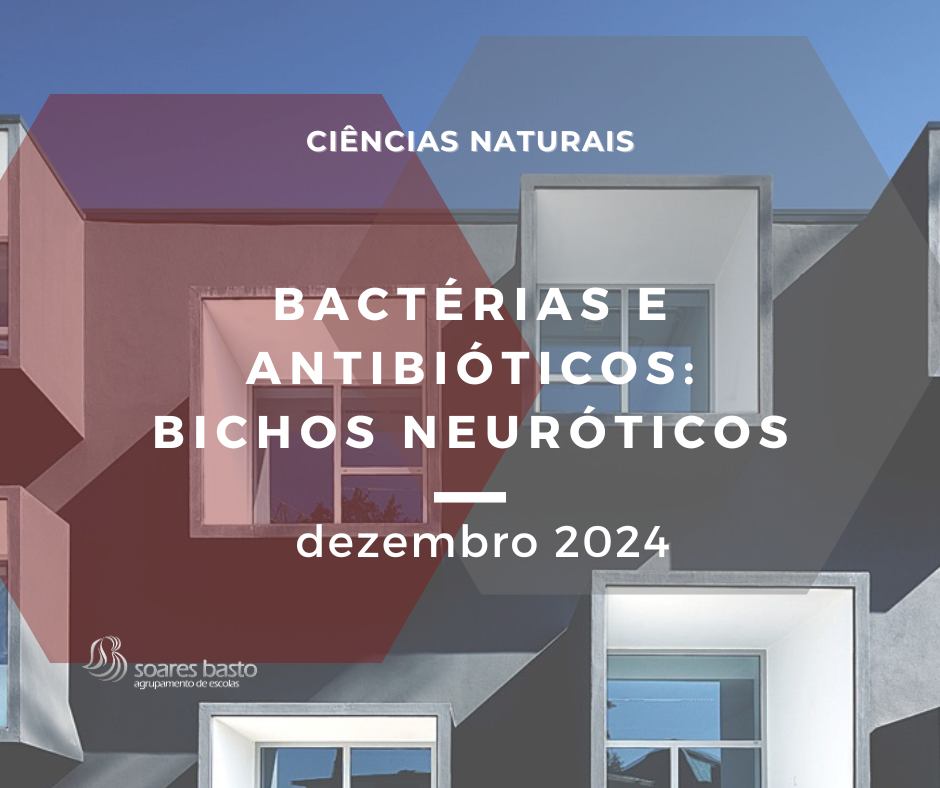 Bactérias e antibióticos bichos neuróticos