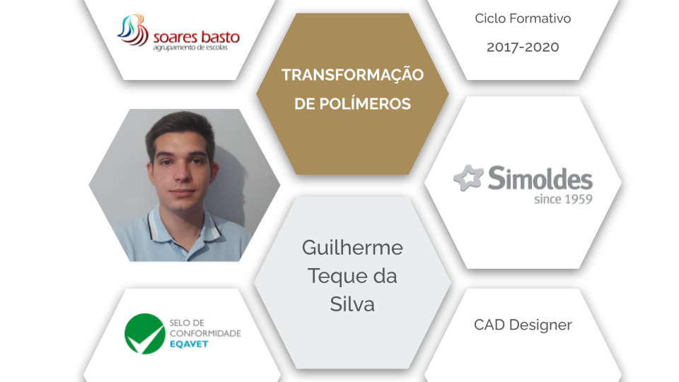 Transformação de Polímeros | Guilherme