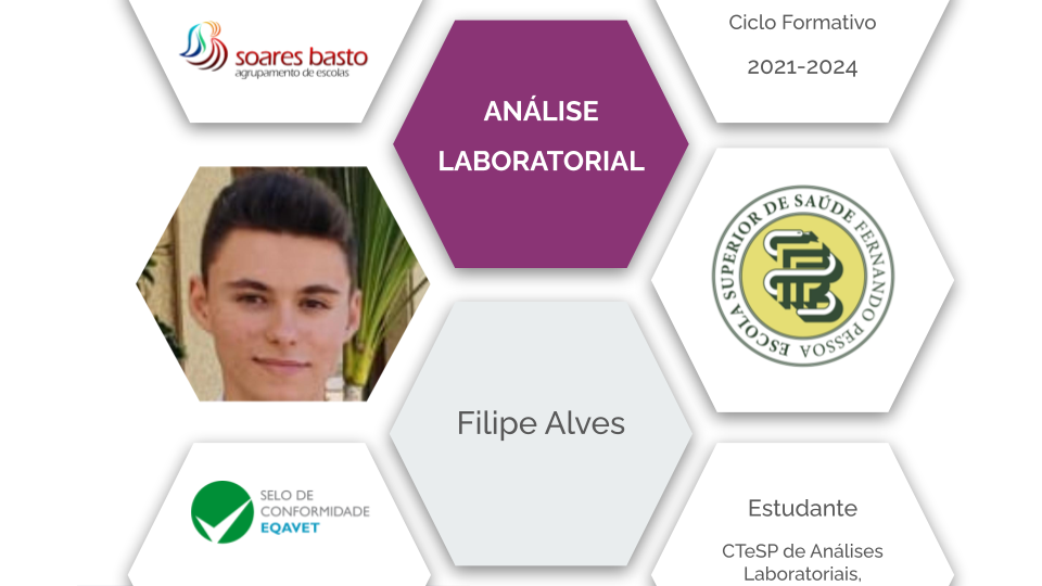 Análise Laboratorial | Filipe